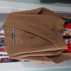 Brown Deep V sweater